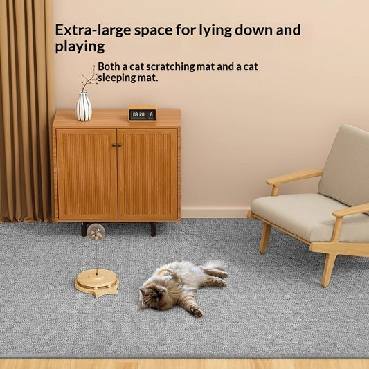 Dark gray textured pet-proof rug with a subtle border, shown on a light wood floor. - Image 2