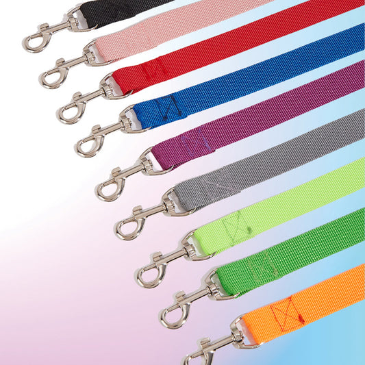 Correa Portátil con Asidero para Perros - Collar de Paseo Seguro - Image 2