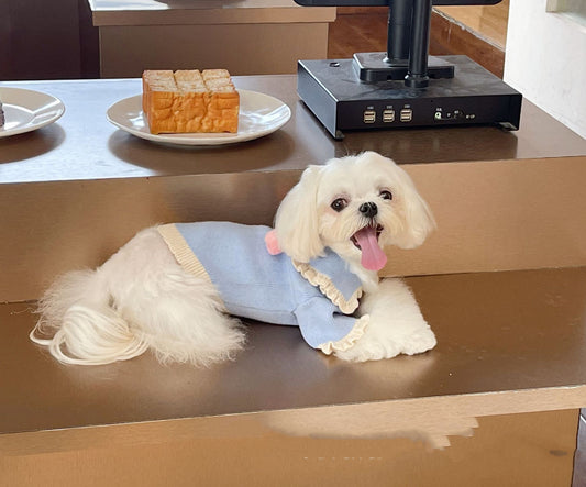 Abrigo de Lana para Perro con Diseño de Fresa - Calidez y Estilo - Image 2