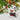 Christmas Ornament 2023, Disney Tim Burton'S the Nightmare before Christmas Jack Skellington and Zero Funko POP!, Gifts for Disney Fans - Tekeno