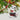 Christmas Ornament 2023, Disney Tim Burton'S the Nightmare before Christmas Jack Skellington and Zero Funko POP!, Gifts for Disney Fans - Tekeno