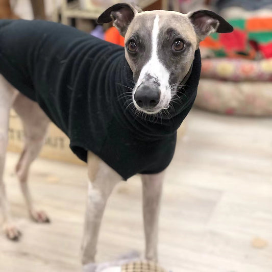 Abrigo Polar de Cuello Alto para Perros Pequeños - Greyhound Italiano y Whippet - Image 2