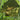 Hideaway Tarp – 12' Hammock Rain Tarp - Tekeno
