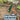Hideaway Tarp – 12' Hammock Rain Tarp - Tekeno