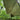 Hideaway Tarp – 12' Hammock Rain Tarp - Tekeno