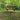 Hideaway Tarp – 12' Hammock Rain Tarp - Tekeno