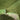 Hideaway Tarp – 12' Hammock Rain Tarp - Tekeno