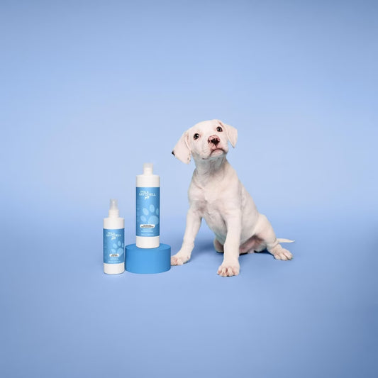 Paul Mitchell Pet Awapuhi Shine Dog, Cat & Small Pet Spray, 8.5-fl oz