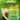 Ghee con Aceite de Aguacate Karavansay - Aguacate