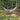 REM Hammock – Complete Sleep System - Tekeno