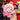 Oversized Sanrio Mymelody Panda Plushie - Tekeno