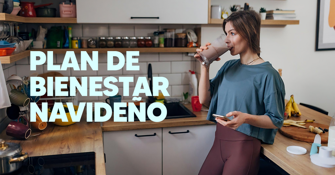Plan de bienestar navideño