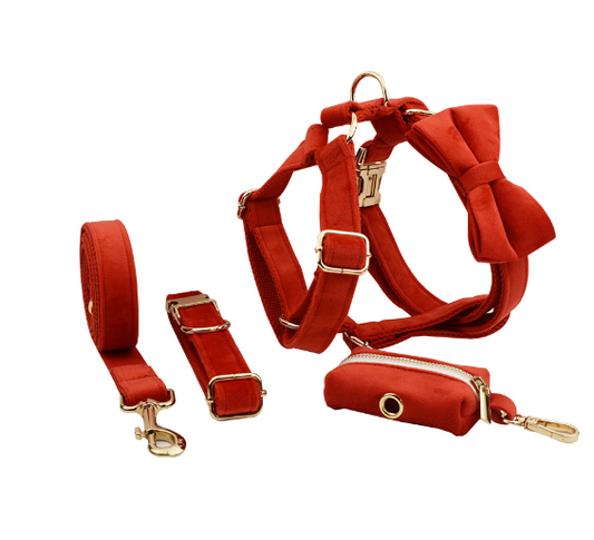 Collar de Perro Terciopelo Suave y Elegante - Image 2