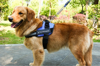 Arnés Pectoral para Perros de Tela Oxford - Image 18