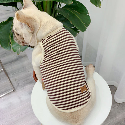 Ropa de Verano Personalizada para Perros - Diseño Fresco y Elegante - Image 4