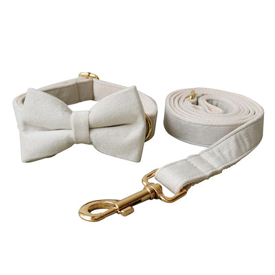 Collar de Terciopelo Blanco para Perros con Hebilla de Aleación - Image 5