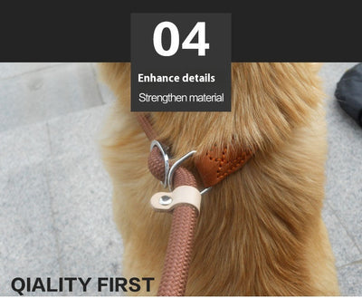 Correa de Nylon para Perros con Agarre Ergonómico - Image 11