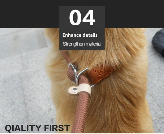 Correa de Nylon para Perros con Agarre Ergonómico - Image 11