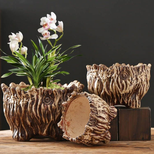 Maceta Cerámica Grande con Diseño de Raíces - Ideal para Suculentas y Plantas