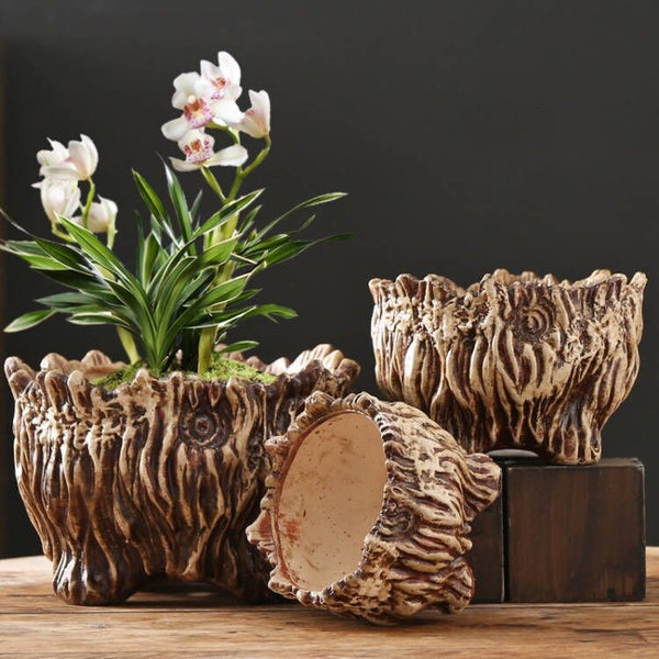 Maceta Cerámica Grande con Diseño de Raíces - Ideal para Suculentas y Plantas