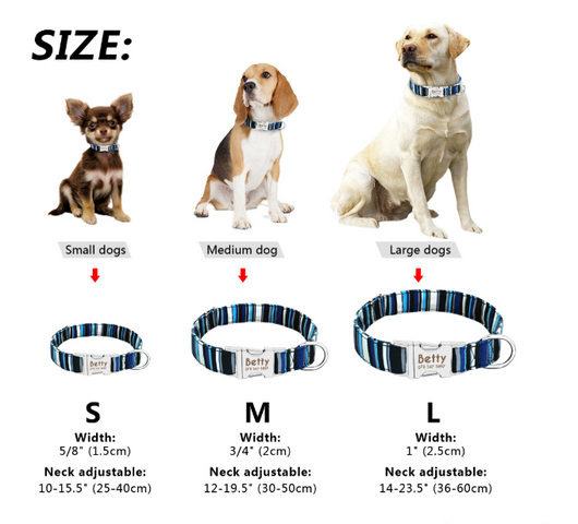 Collar Personalizado para Perros y Gatos con Placa de Identificación Antiextravío - Image 9