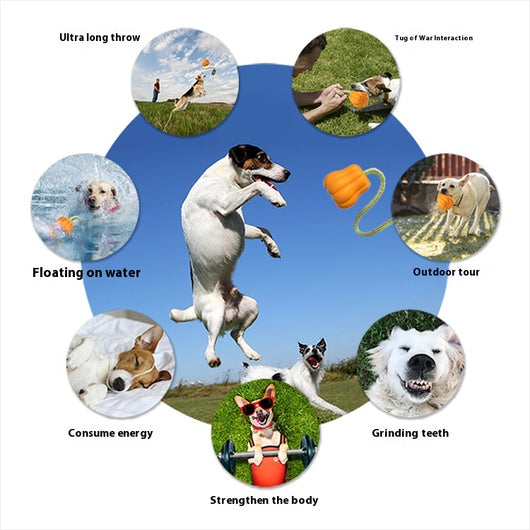 Juguete para Perros Resistente para Camping - Lanzamiento Extra Largo - Image 10