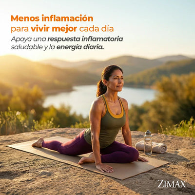 Zimax® Sachets
