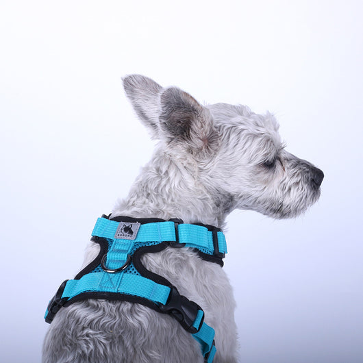 Arnés de Pecho para Mascotas en Malla Reflectante Transpirable - Image 4