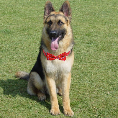Collar Navideño para Perros Grandes con Moño Festivo - Image 11
