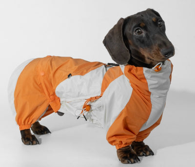 Ropa de Invierno a Juego para Mascotas - Image 9