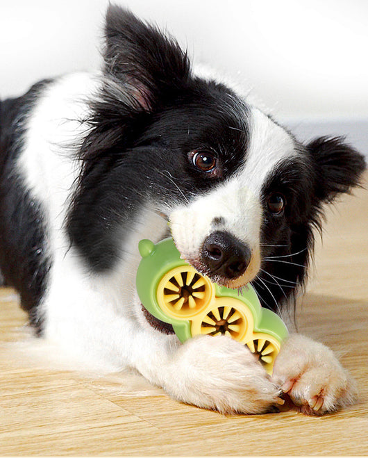 Juguete Interactivo Dispensador de Alimento con Limpieza Dental para Perros - Image 8