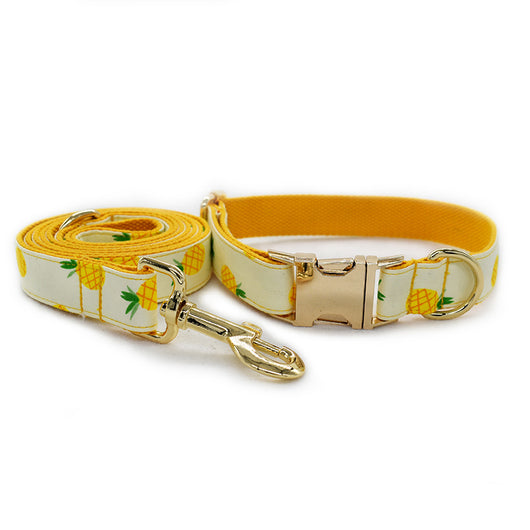 Collar para Mascotas Piña Amarilla - Image 13