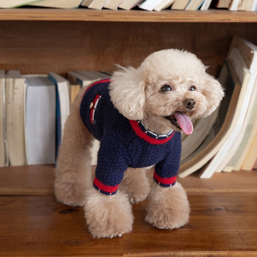 Cardigan Clásico Bejirog para Mascotas - Suéter de Estilo - Image 13