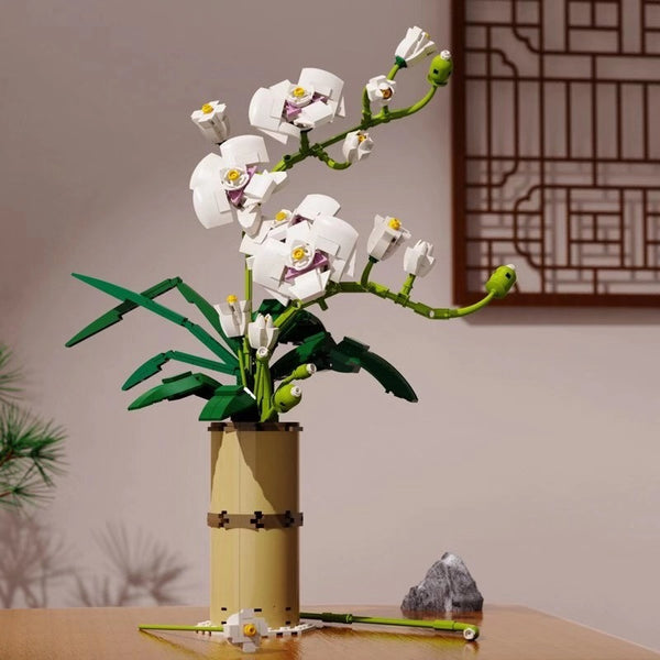 Modelo de Construcción Infantil de Flores Creativas - Decoración Orquídea Phalaenopsis
