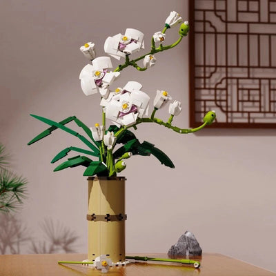 Modelo de Construcción Infantil de Flores Creativas - Decoración Orquídea Phalaenopsis