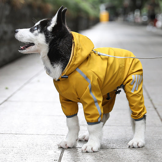 Impermeable para Perros con Capucha y Reflectantes - Chaqueta Lluvia Ligera - Image 18