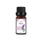 Aceite Esencial De Clavo