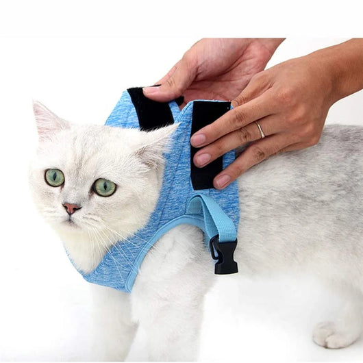 Arnés Respirable para Gato con Correa de Tracción Ligera - Image 15