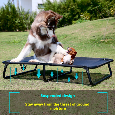 Cama Elevada para Perros con Marco de Hierro y Malla Transpirable - Image 5