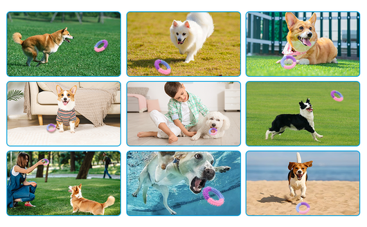 Juguete Masticable para Perros - Anillo de Goma para Dentición - Image 10
