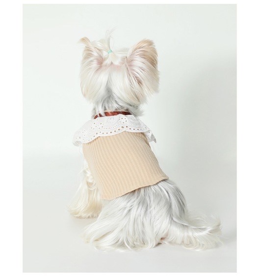 Chaleco Floral con Moño para Mascotas - Ropa Elegante y Cómoda - Image 5