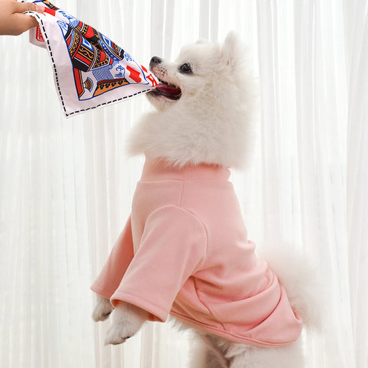 Juguete Interactivo para Perros Resistente a Mordidas con Sonido de Periódico - Image 13