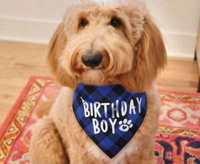 Pañuelo Triangular Escocés para Cumpleaños de Mascotas - Image 13