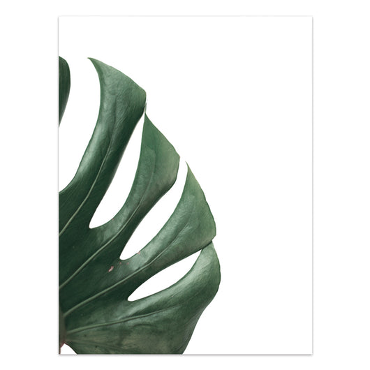 Póster de Plantas Tropicales Estilo Nórdico - Lámina de Hojas Verdes - Image 25