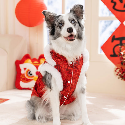 Abrigo Chino Acolchado para Perros Grandes - Estilo Tang con Pelaje de Conejo - Image 28