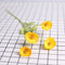 4 Flower Amarillo
