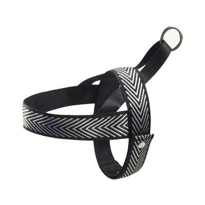 Arnés de Pecho para Perros Pequeños - Diseño Deportivo para Exteriores - Image 5