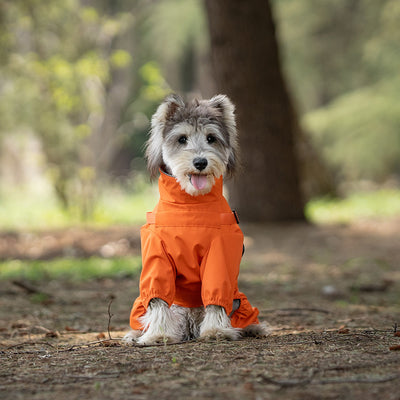Impermeable para Perros con Estilo Personalizado - Image 4