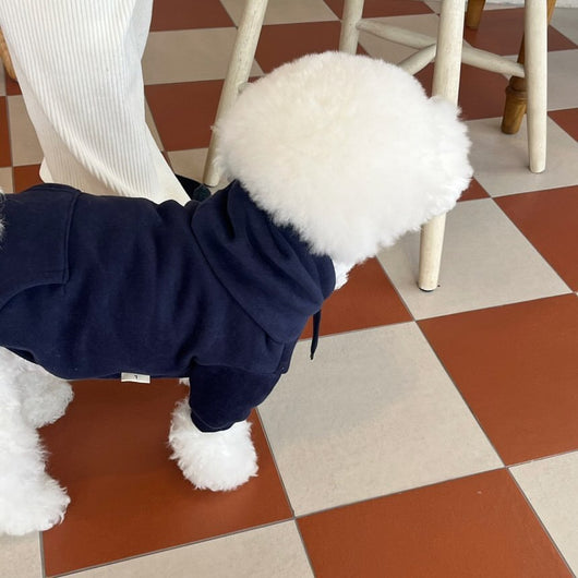 Suéter con Capucha para Perros Pequeños y Gatos - Image 5