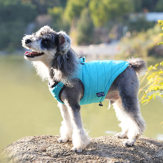 Chaleco Acolchado Invernal para Perros - Abrigo Universal con Relleno de Algodón